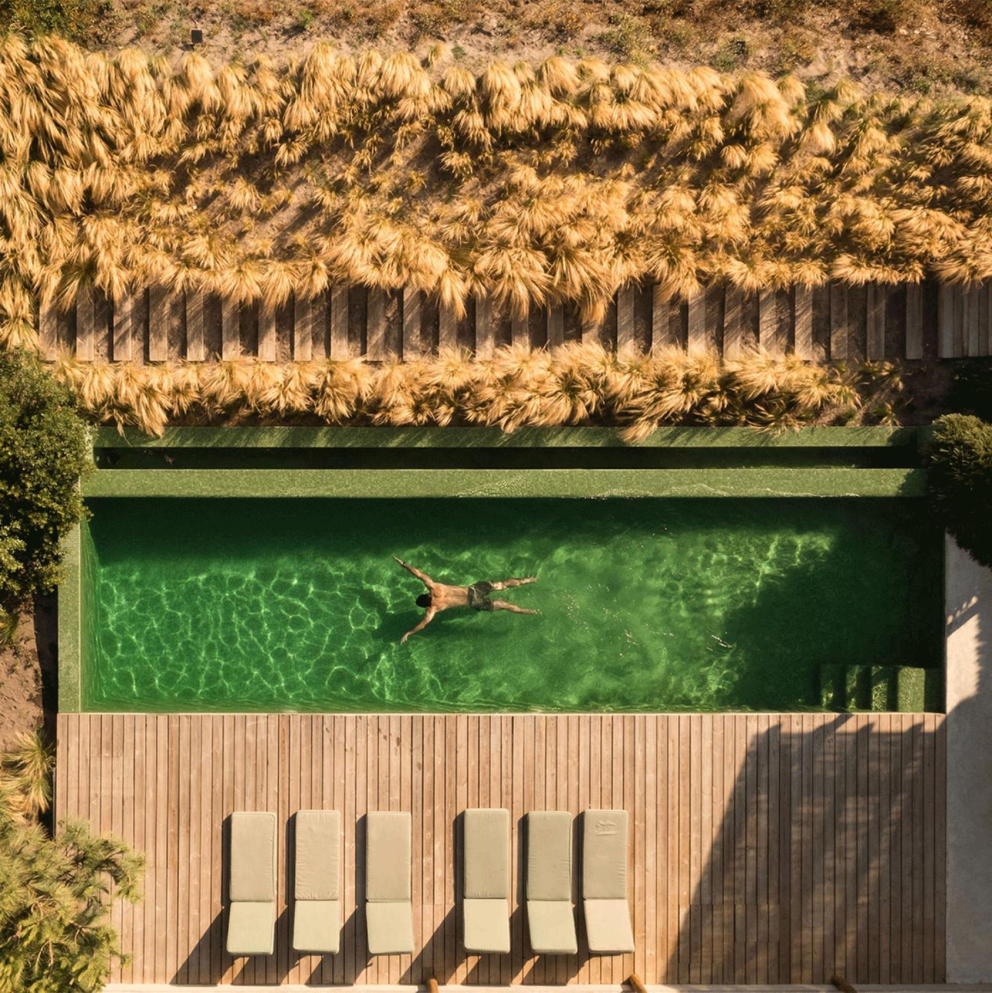 Villa Flor de Arroz Carvalhal  Exterior foto